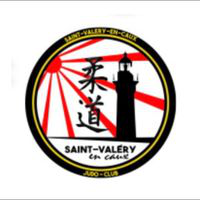 Logo STADE VALERIQUAIS